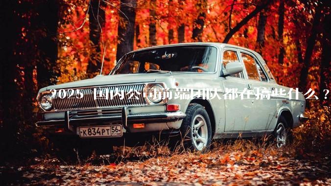 2025 国内公司前端团队都在搞些什么?